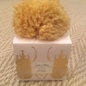 India Hicks Natural Sea sponge